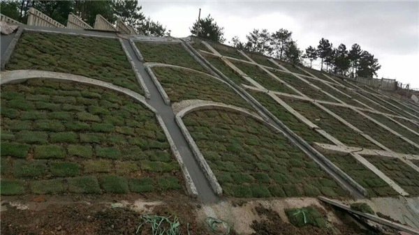 中铁八局南昌市幸福渠水系综合整治工程
