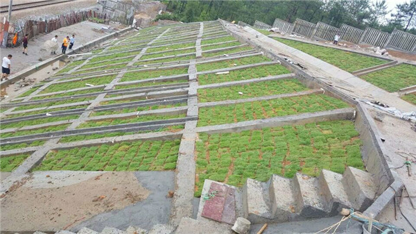 中铁一局桥梁工程有限公司南昌市志敏大道改造工程